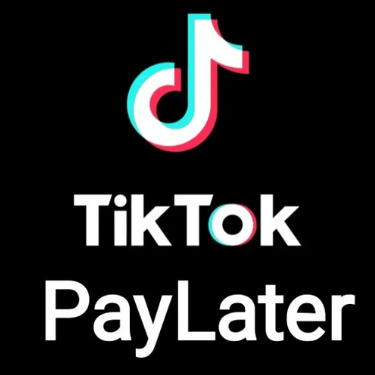 TikTok PayLater